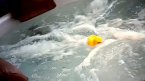 plastic duck in swimming pool 
