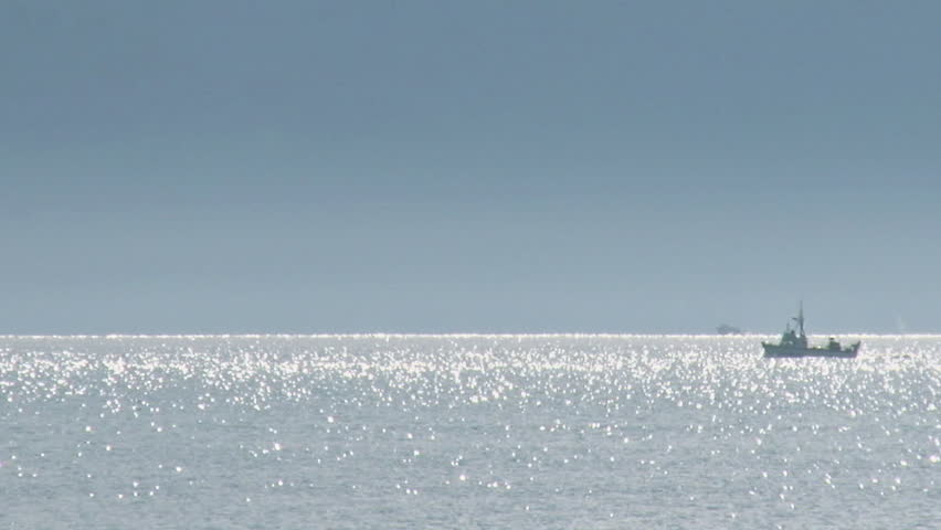 Boats on Glistening Bay with Whales