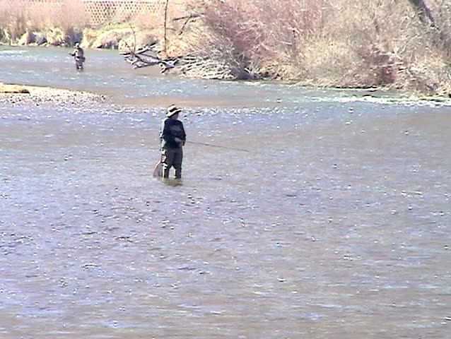 Fisherman casting and fixing line while wading in early spring rover. Provo Utah in the Wasatch Mountains. 