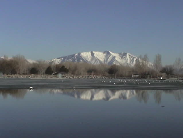 Video of Utah State Park in Provo Utah. Visitor center across frozen water. Seagulls on ice. Wasatch mountain range. 