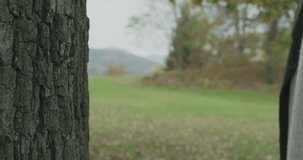 Detail on trunk and hands.Caucasian blond woman slomo walking toward fall woods touching tree.Following behind gimbal.Storytelling real young adult people alone in autumn forest.4k slow motion video