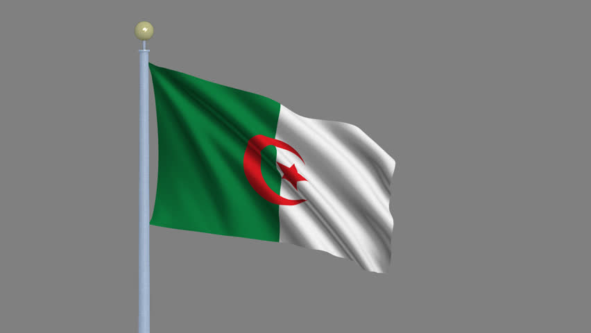 Download Flag of Algeria Waving in Stock Footage Video (100% Royalty-free) 310360 | Shutterstock