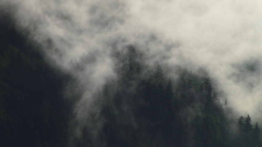 Intense morning mists rising up from a steep cliffside forest. Timelapse
