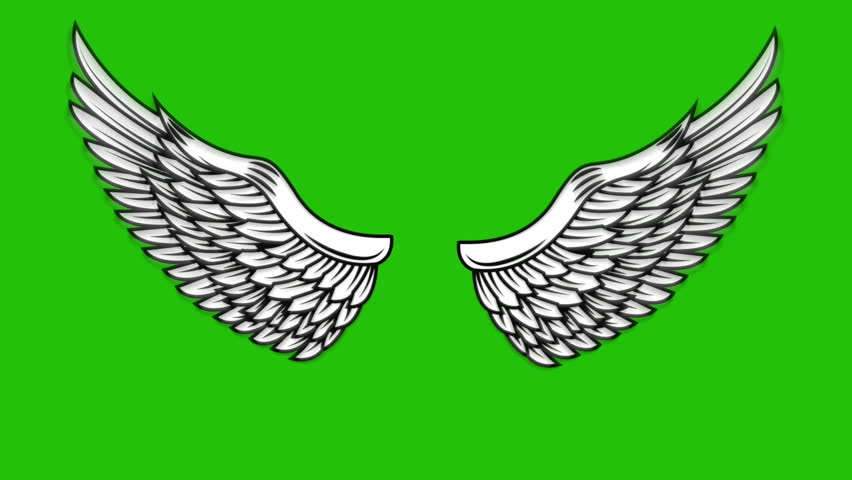 Animation Of Flying Wings On Green Background Angel Green Background Angel Wings