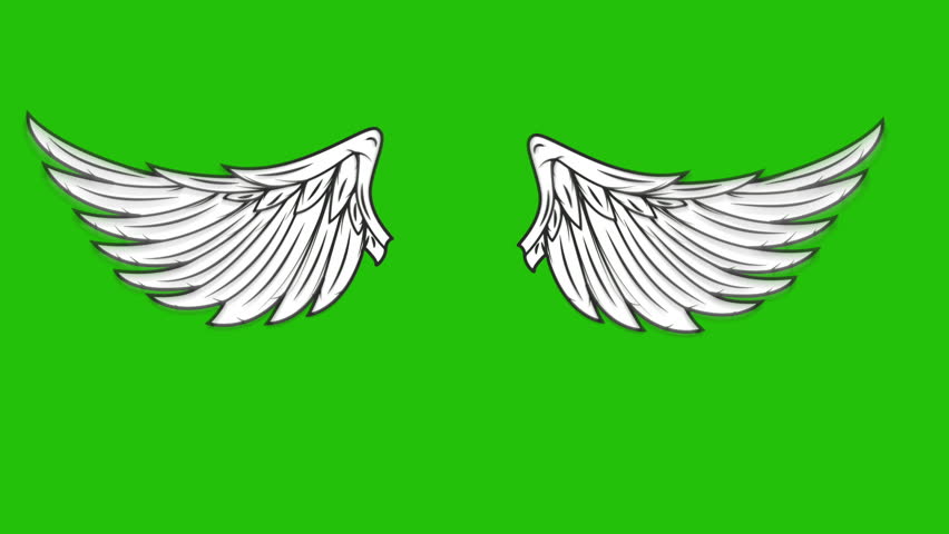 Animation Of Flying Wings On Stock Footage Video 100 Royalty Flying Wings On Stock Footage Video