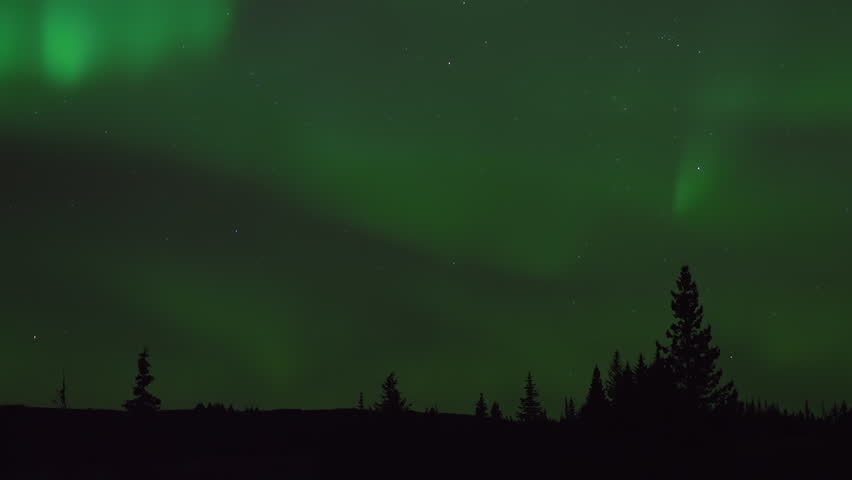 Aurora Borealis display over Ohlsen Mountain Road in Homer, Alaska, with tree