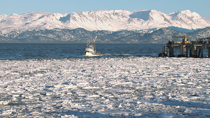 An Alaskan fishing/crabbing vessel returns to Homer Harbor, having edged around