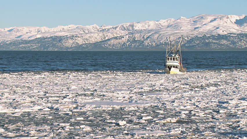 An Alaskan fishing/crabbing vessel returns to Homer Harbor, entering the ice