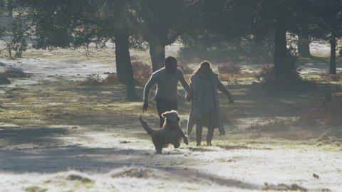 A young attractive couple are running through the forest with their dog, it is a cool, fresh morning with sunlight streaming through the trees. In slow motion.