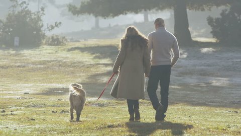 Happy couple in love holding hands and walking with their dog, through a forest clearing on a bright autumn morning. Shot from behind and in slow motion.