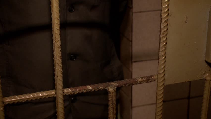 Through the bars