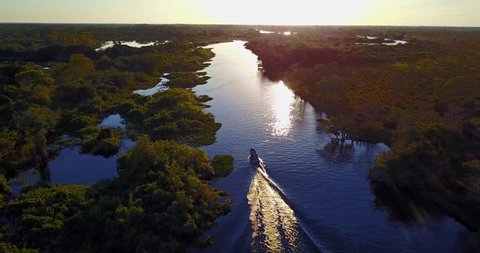 Camera follows the boat sailing on the river towards the sunset. Aerial image of meander in the Pantanal Biome. Vegetation of Native forest. Top view. Mato Grosso do Sul state, Central-Western Brazil.