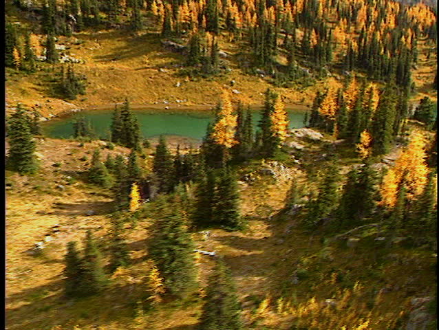 Low level flight over high alpine meadows in autumn