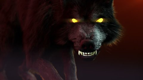 Scary wolf creeps.  She growls and looks at us. RGB, Alpha, Z depth, Select object layer include.Halloween theme. High quality animation.