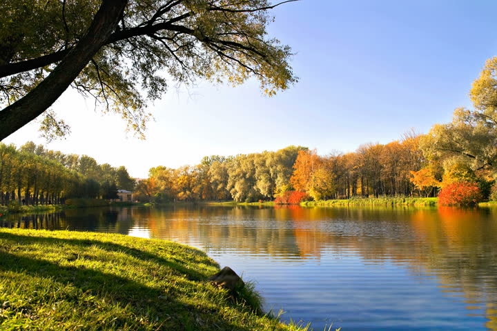 Autumn landscape of lake and bright trees, loop