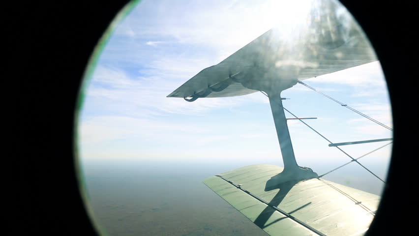 Wing field and forest with bird eye