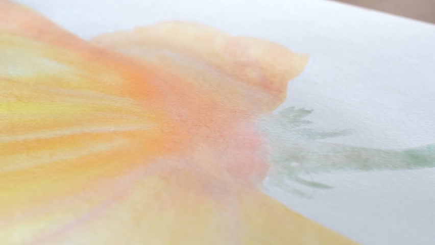Artist painting watercolor paints on wet paper  60 fps Royalty-Free Stock Footage #31083250