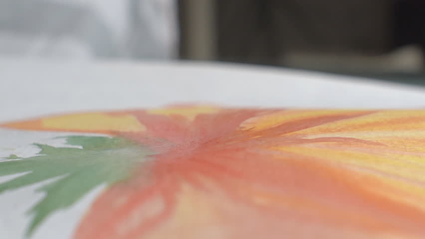 Artist painting watercolor paints on wet paper  60 fps Royalty-Free Stock Footage #31083262