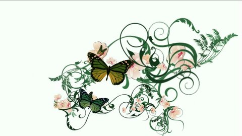 butterfly & growing flower,spring scene.