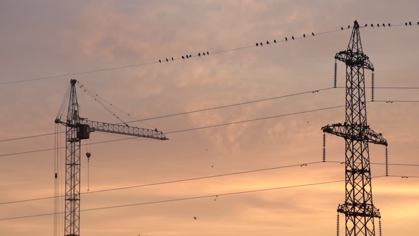 Power line, construction crane and birds with creamy colorful sky in the morning  Royalty-Free Stock Footage #31088143