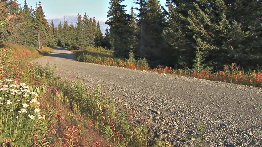 Man rides mountain bike down gravel road in late afternoon/early evening.