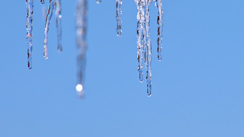 Dripping icicles, rack focus from far to near against blue sky.