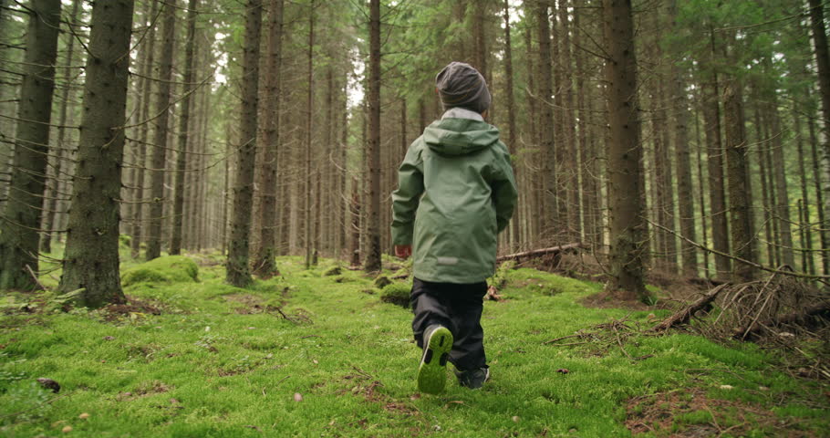 Following a boy walking in a forest, gimbal shot