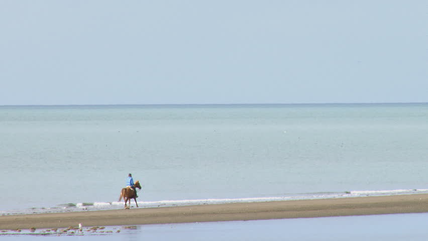 Woman riding a horse at a trot along a sandbar at the beach.