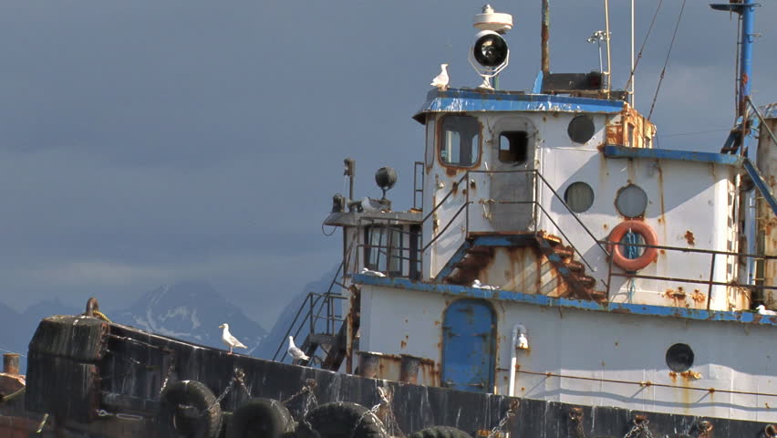 Gulls on Derelict Tugboats