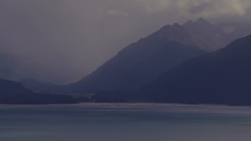 A solitary sea gull winging its way over Kachemak Bay on a cloudy, rainy