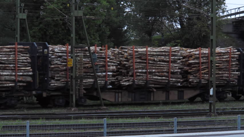 Lumber freight train in central Sweden.