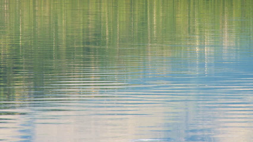 Blue-green forest-sky reflections on rippling lake waters.