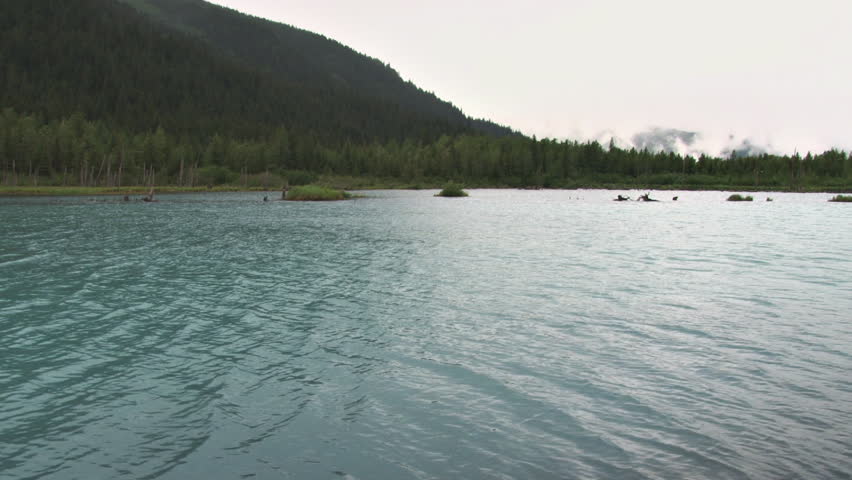 Glacial silt colors the waters of this Alaskan river. Pan left to mist-shrouded