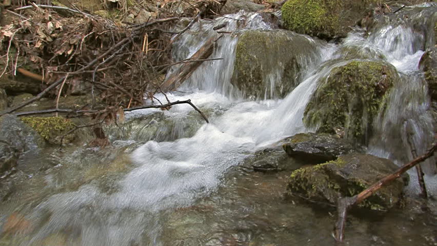 Following the course of a vibrant, natural creek as it rushes down a steep