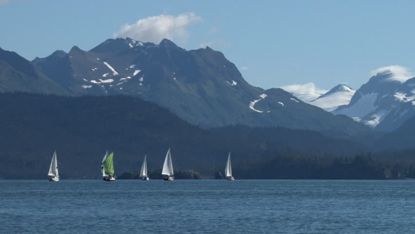 Six sailboats heading across Kachemak Bay toward the Kenai Mountains