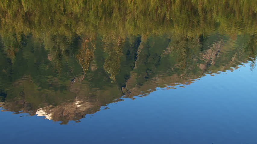 Reflection of a forested Alaskan mountain in the gently rippling waters of a