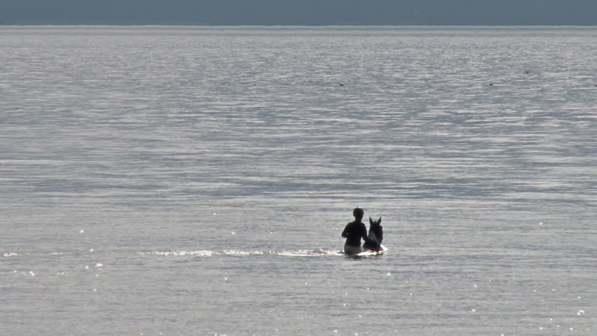 Riding Horse into Bay Waters