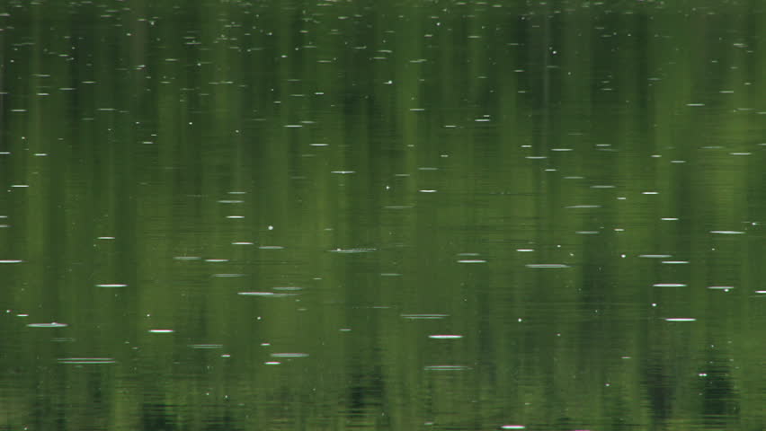 Gentle rain falling on the reflective surface of a small forest lake in Alaska.