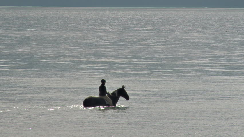 Riding Horse into Bay Waters