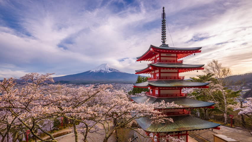 Fujiyoshida, Japan at Chureito Pagoda and Mt. Fuji in the spring with cherry blossoms. Royalty-Free Stock Footage #31124368