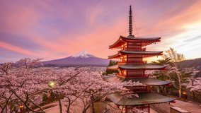 Fujiyoshida, Japan at Chureito Pagoda and Mt. Fuji in the spring with cherry blossoms. - Powered by Shutterstock - Get 15% off with code: PIKWIZARD15