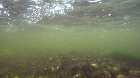 Fast river underwater view