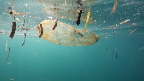 Plastic bag floating underwater at Bunaken Island, Indonesia