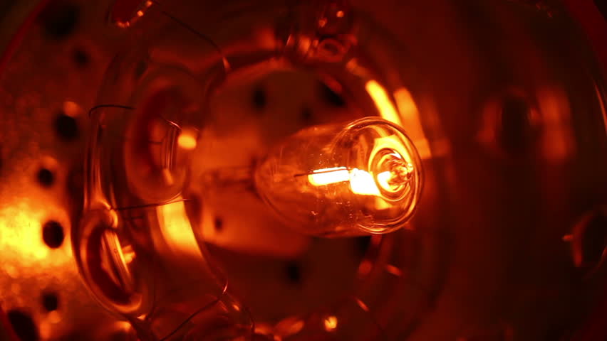 Halogen lamp illuminates closeup