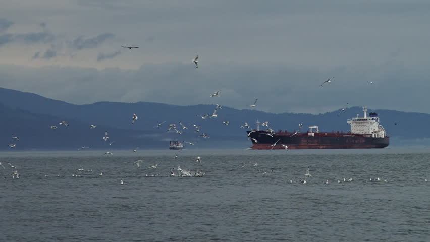Oil tanker heading into Kachemak Bay with wheeling kittiwakes in the foreground.