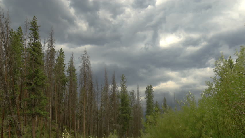 Storm clouds moving over mountain forest - time lapse