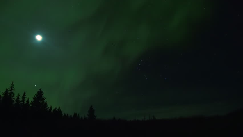 Northern Lights and Orion over Dark Forest