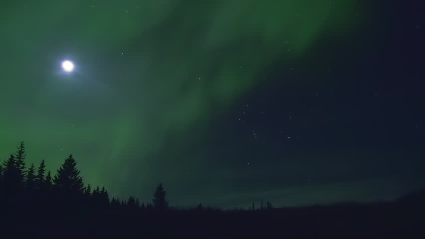 Northern Lights and Orion over Dark Forest