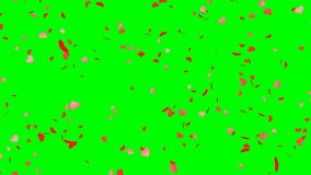 Heart shape confetti - loop, green screen, 4K
 - Powered by Shutterstock - Get 15% off with code: PIKWIZARD15