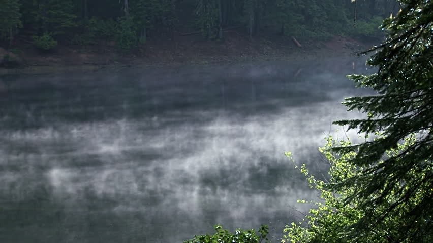 Mist floats gently over still waters of a forest lake in Northern California,